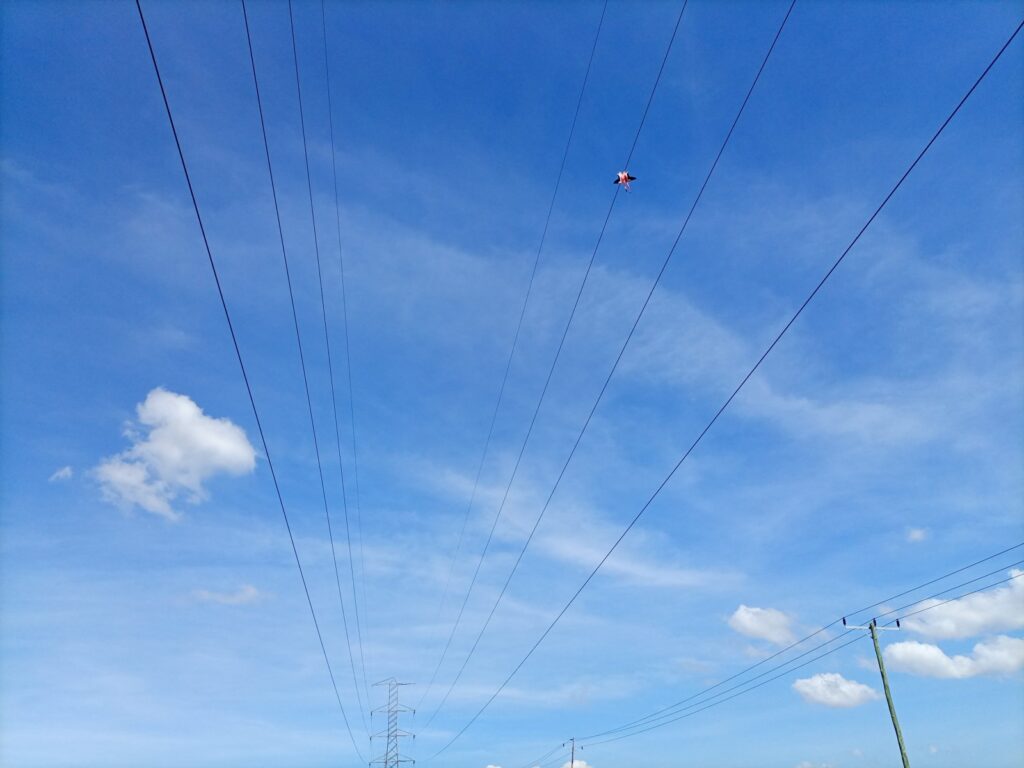 One of the dead flamingos trapped between high voltage power lines at Soysambu © Richard Kipn’geno