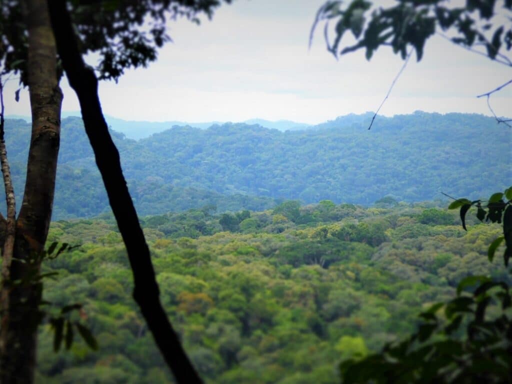 © Benji Barca / RSPB