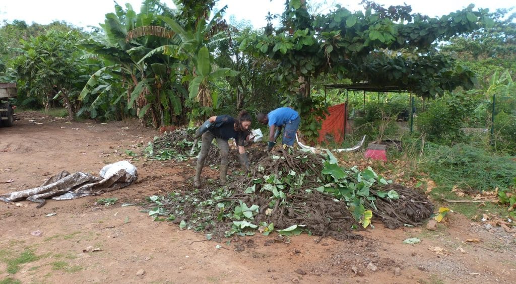 Restoration work in progress © GEPOMAY