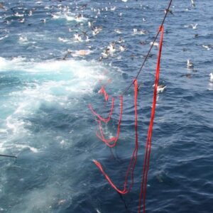 Bird-scaring lines in action in a Namibian longline fishery © John Paterson