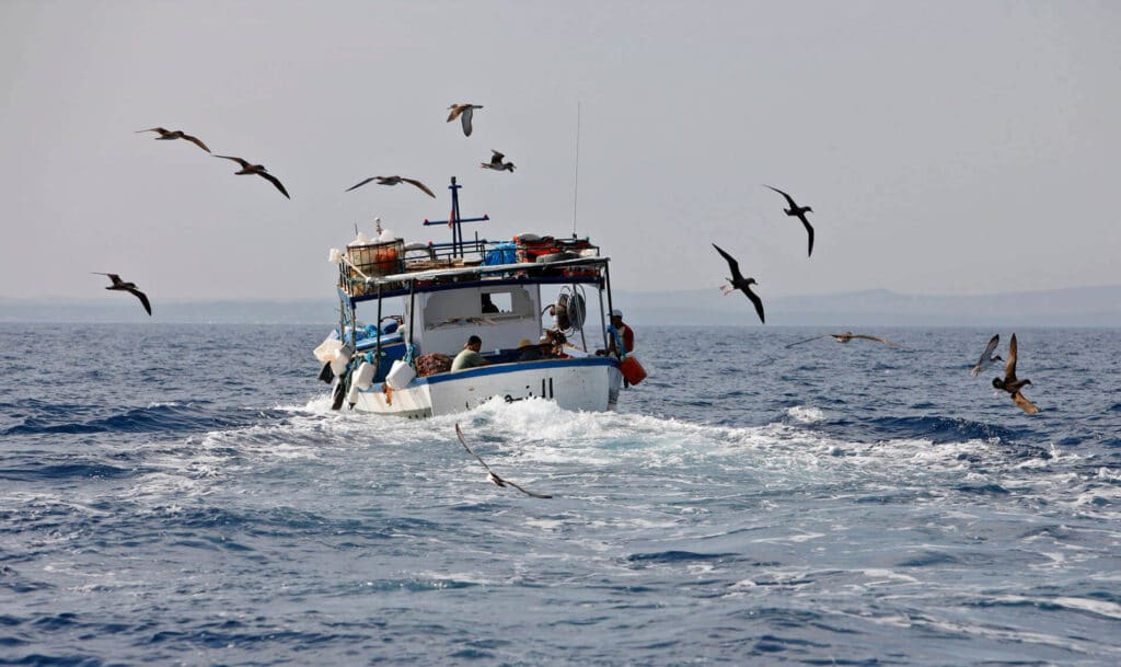 © Louis Marie Preau