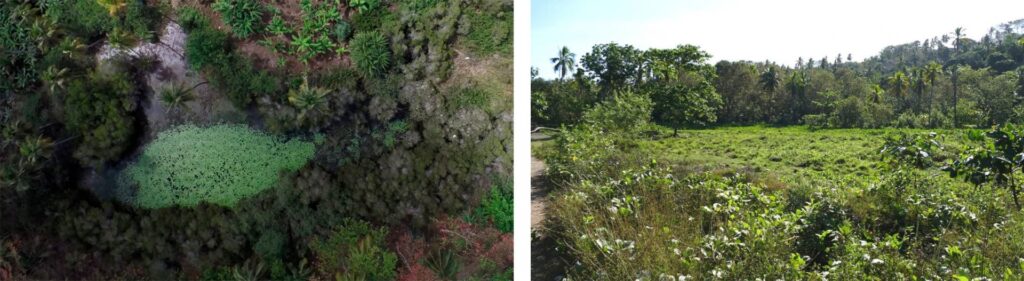 Wet meadow of the Ambato lagoon © Florent BIGNON