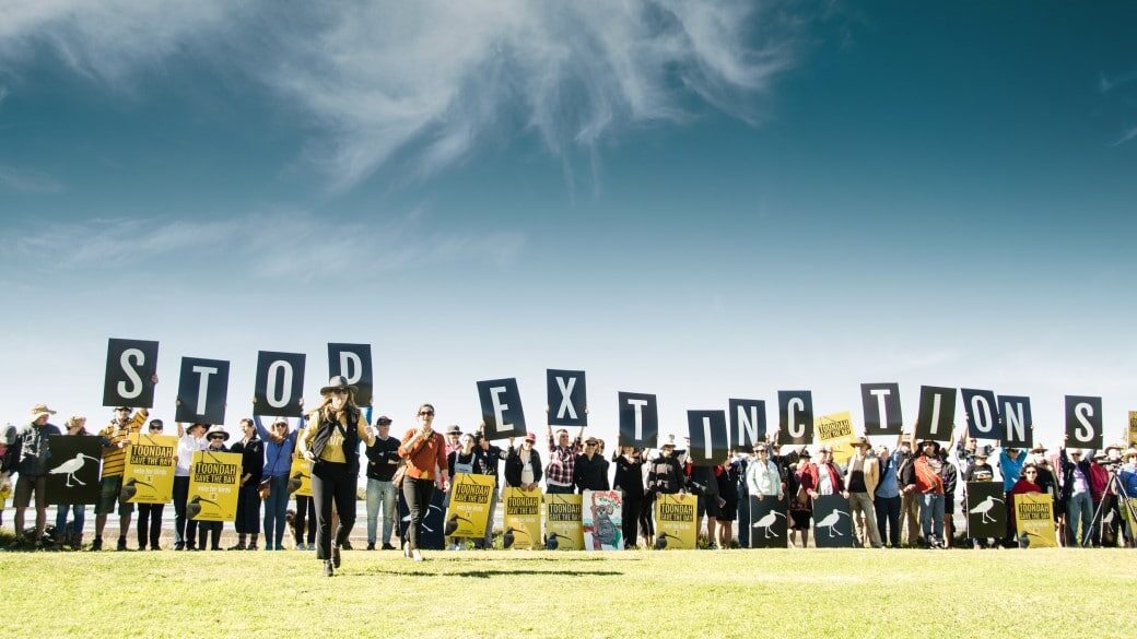 Toondah Bay, BirdLife Australia