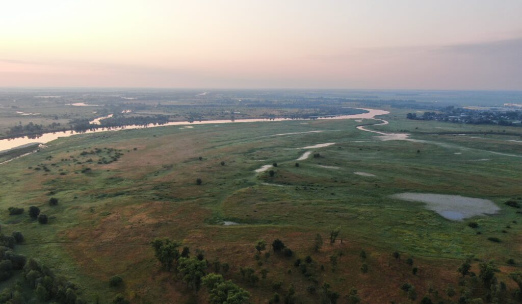 The global BirdLife partnership of 117 national nature conservation organisations expresses its solidarity with its Belaorussian partner Akhova ptushak Batskaushchyny