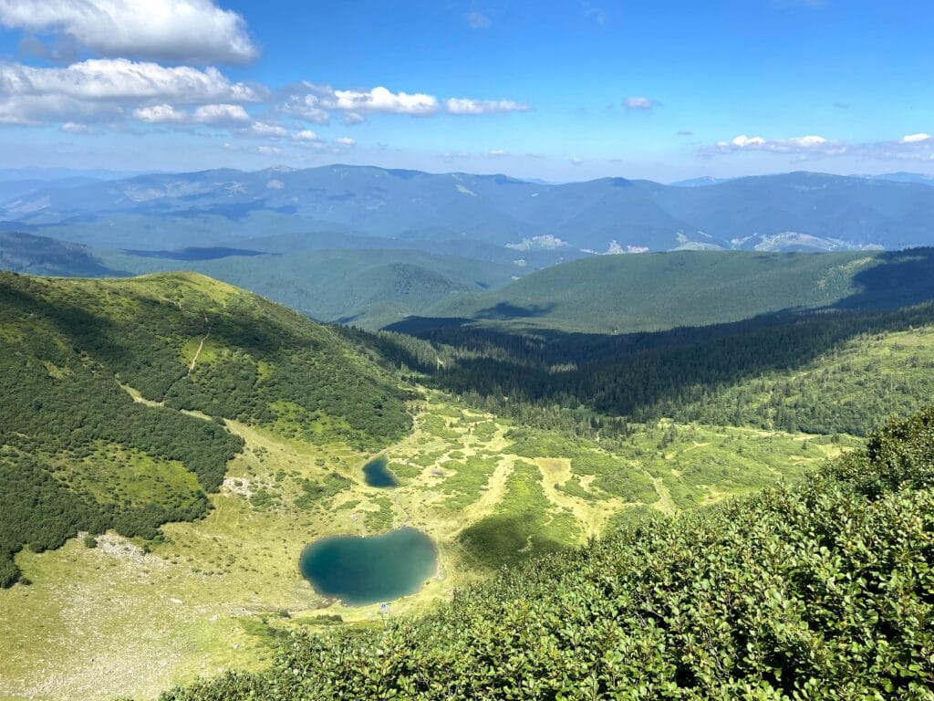 Ukraine, BirdLife, Belarus