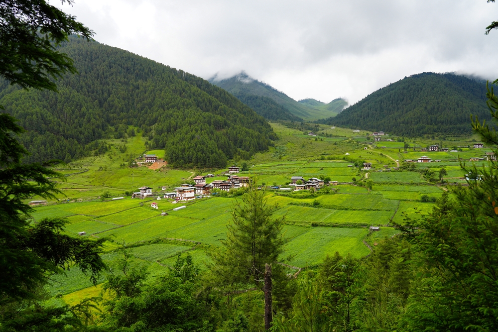 Phobjikha Valley mountain view