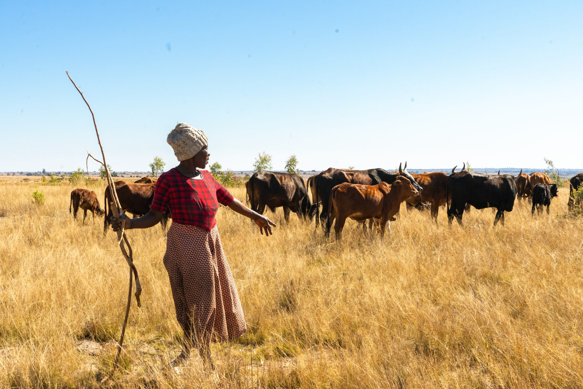 Local pastoralist at the Driefontein Grasslands. © Javiera Perez Ribalta