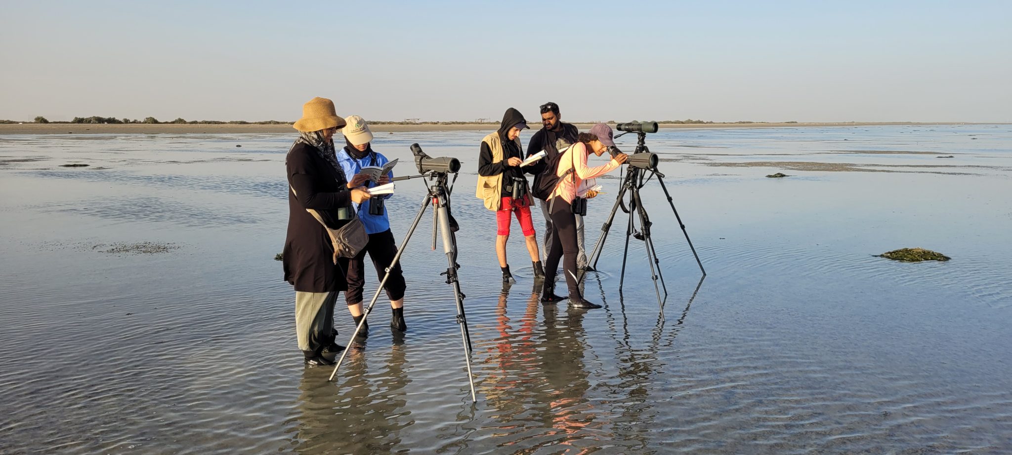Waterbird Counting in Barr Al Hikmann, Oman. Photo by Taej Mundkur