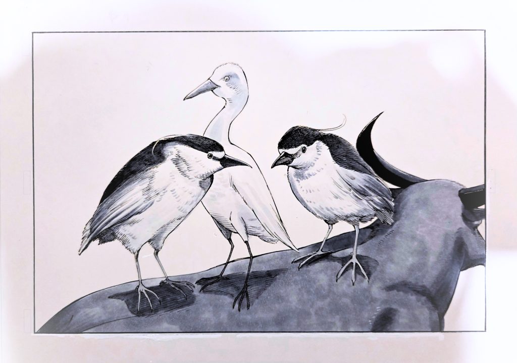 Artwork of Black-crowned Night Herons and Eastern Cattle Egret from Wong Wai Pong