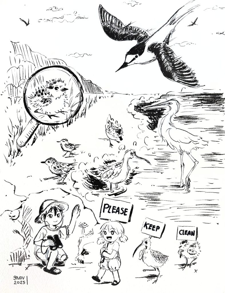 Artwork of migratory shorebirds by Monthita Pongritsakda