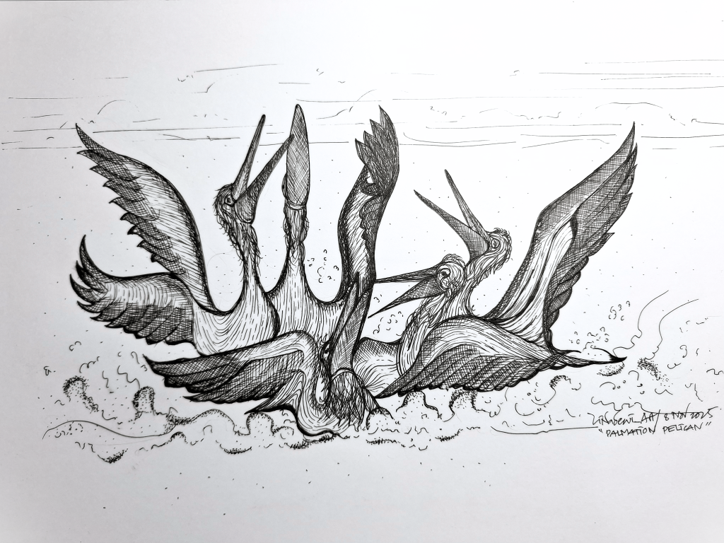 Artwork of Dalmatian Pelicans by Lina Dewi